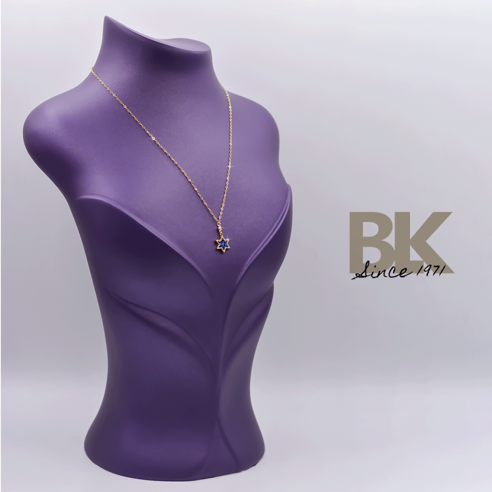 BKL1595