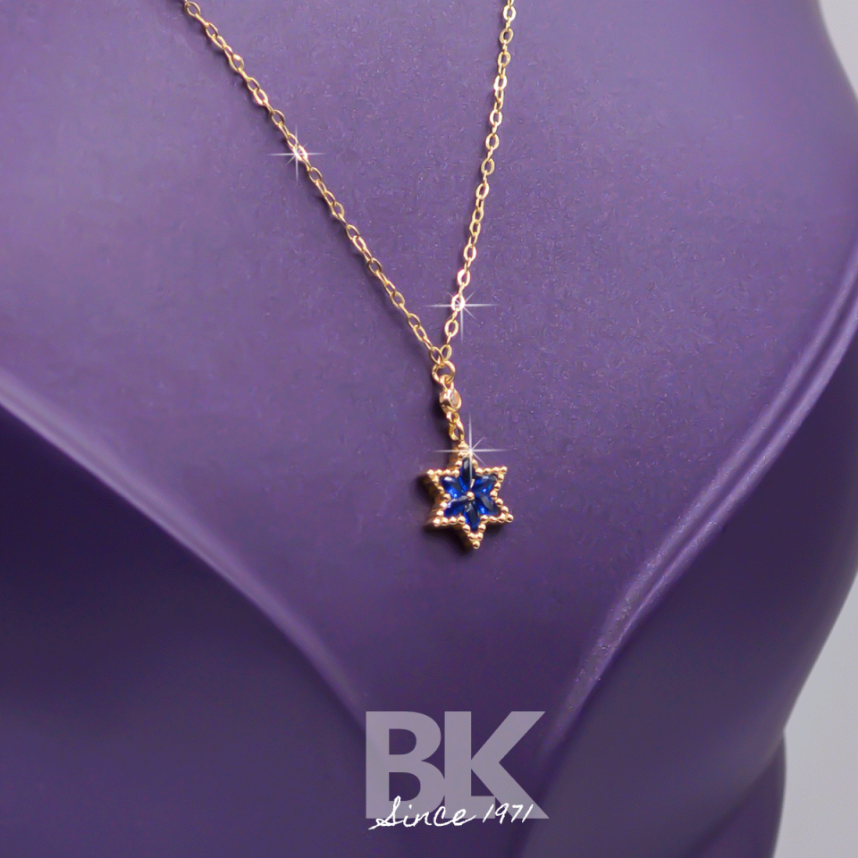 BKL1595