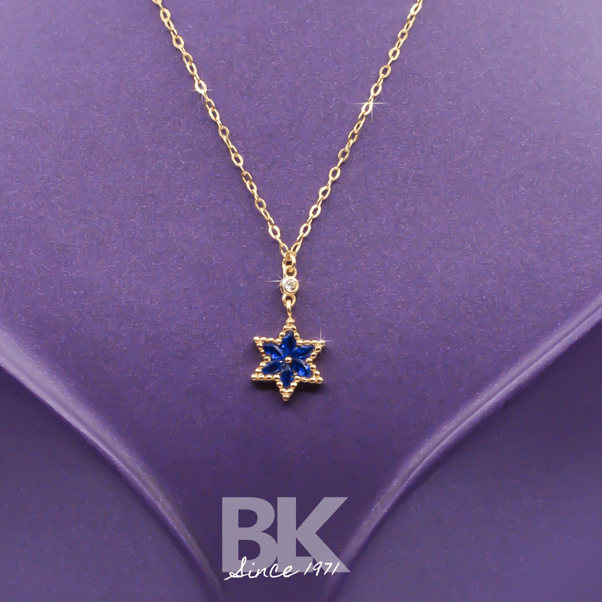 BKL1595