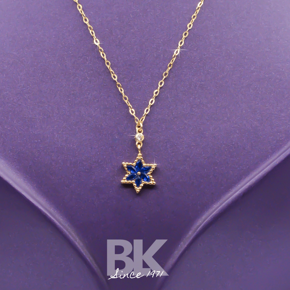BKL1595
