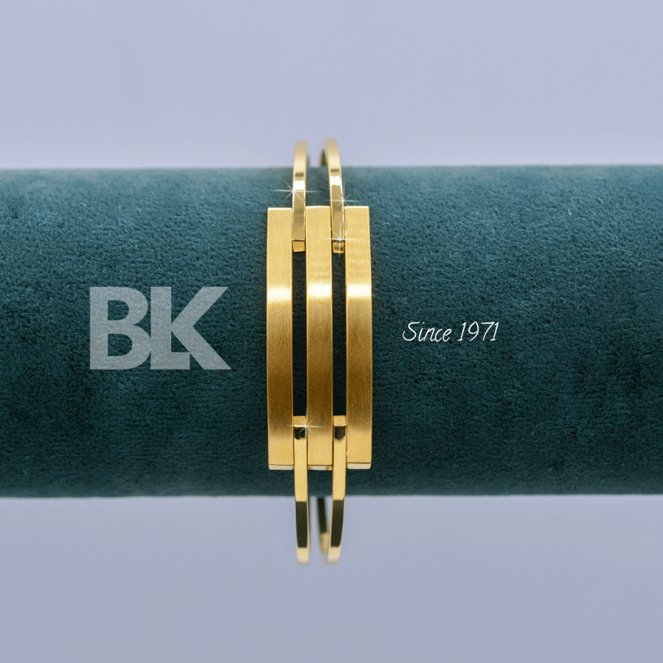 BLZ361