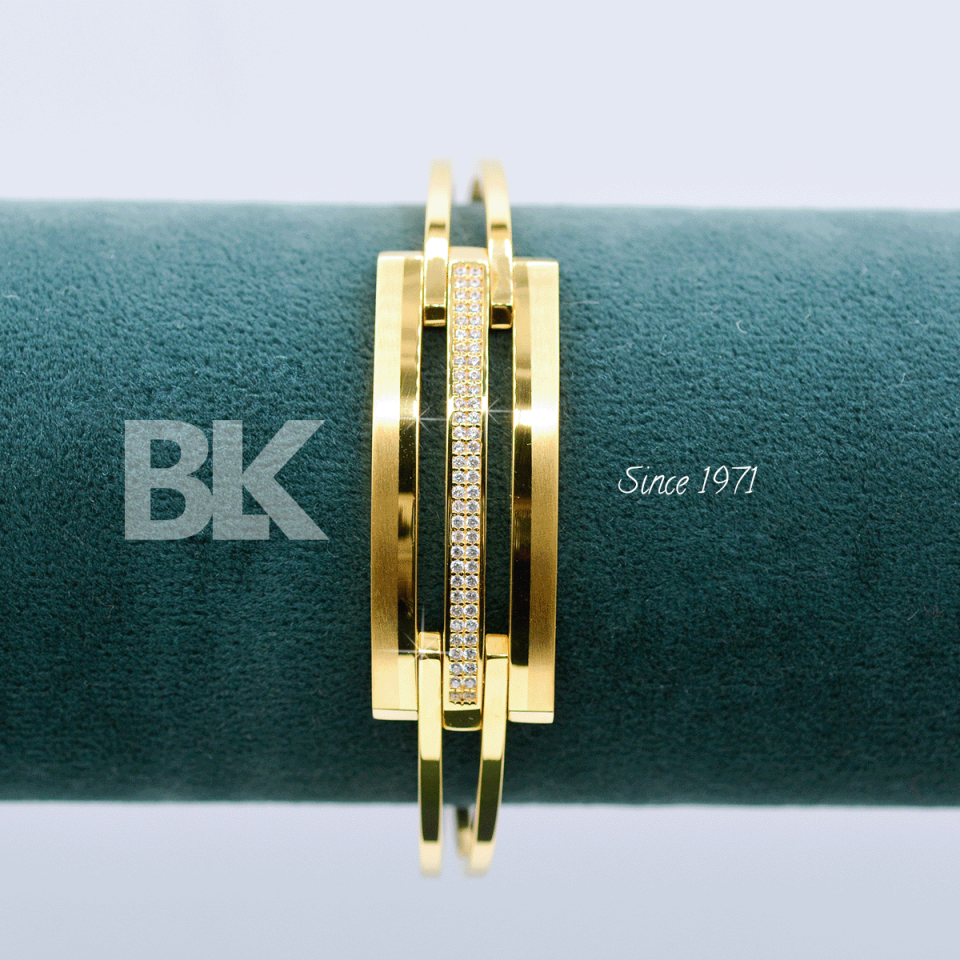 BLZ365