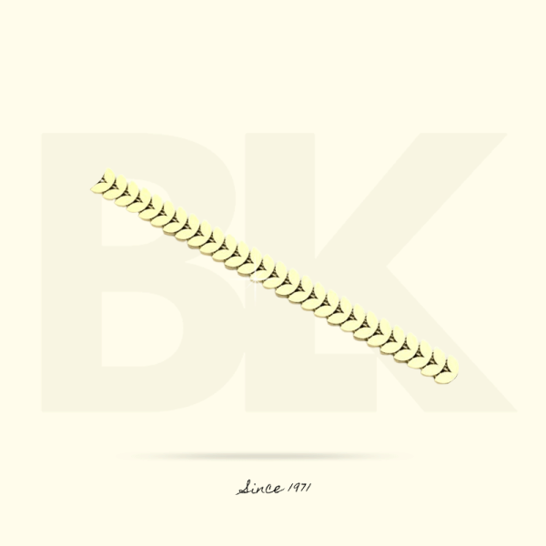 BZN21