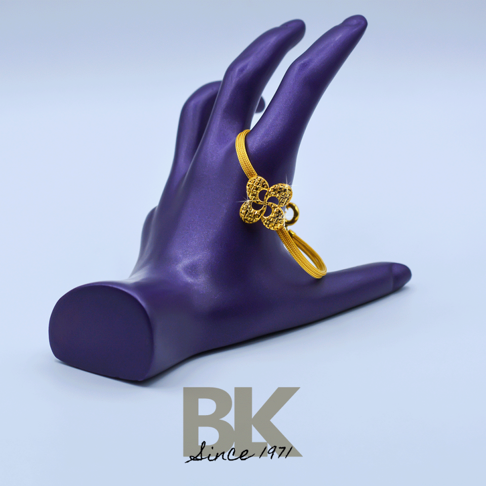 BLZ299