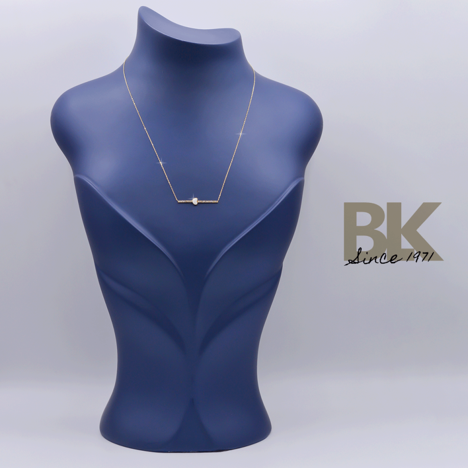 BKL1489