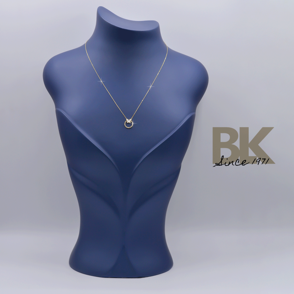 BKL1493
