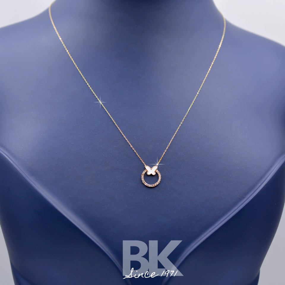 BKL1493