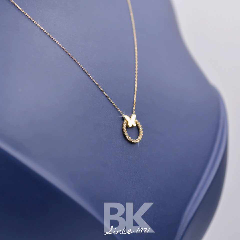 BKL1493