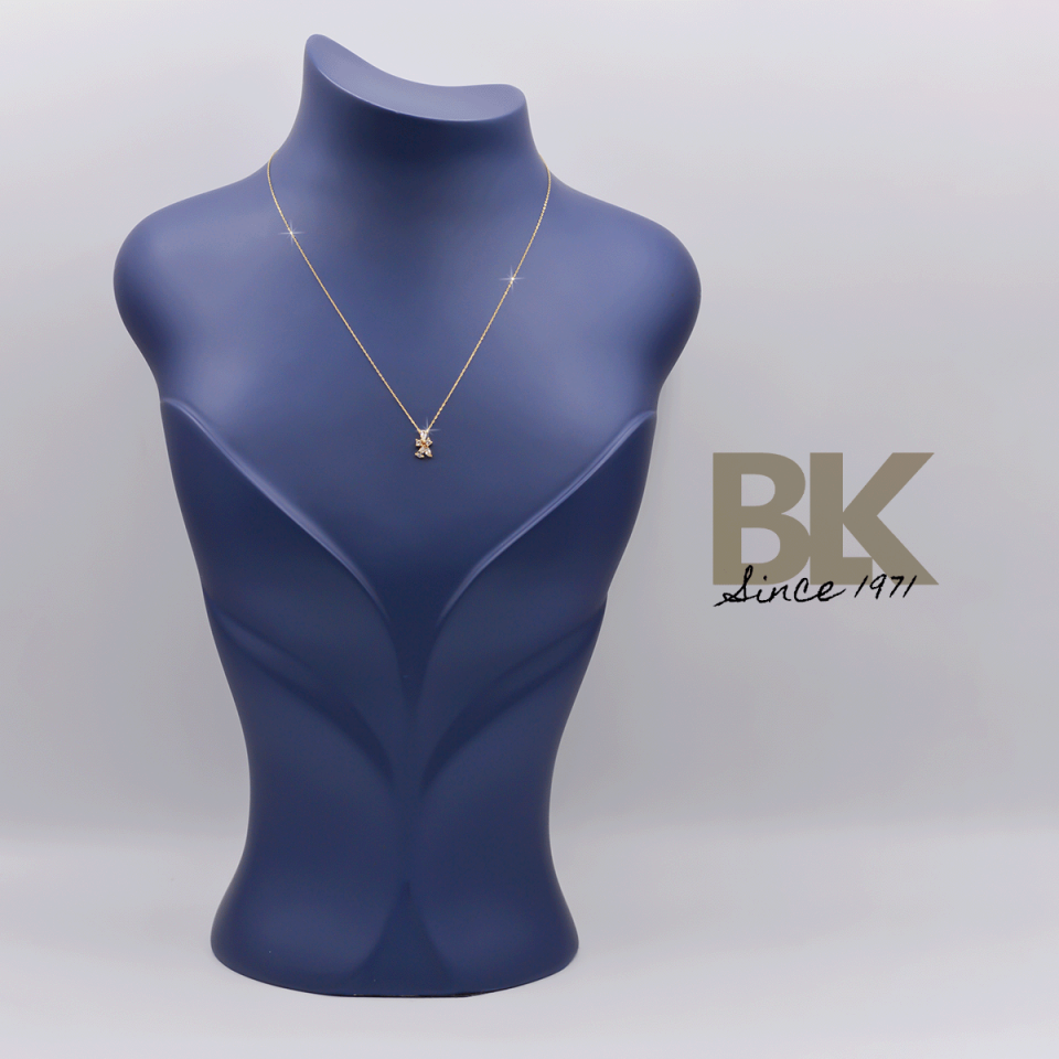 BKL1529