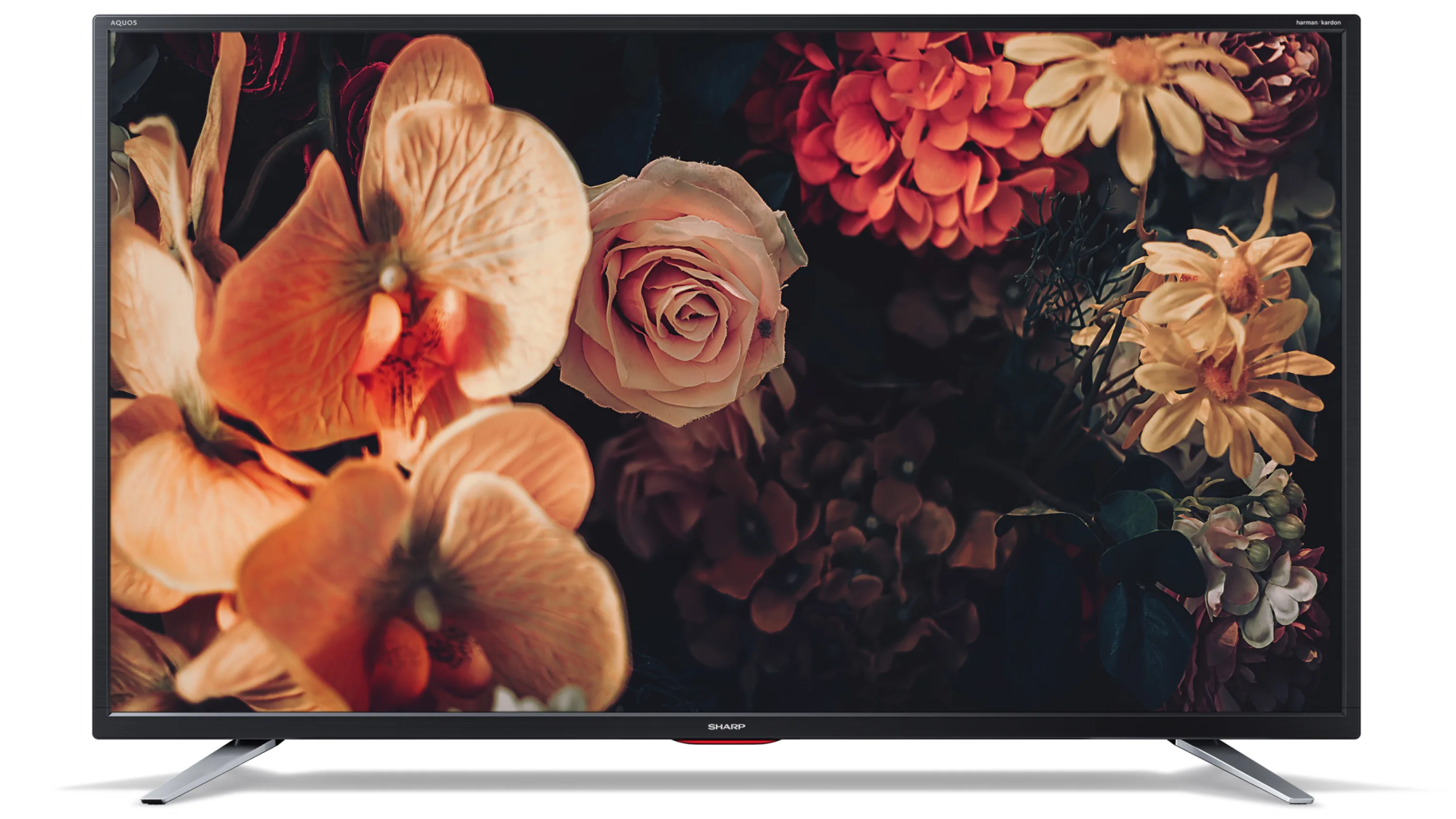 Sharp 42'' Smart FHD LED TV - 42CG5E