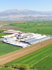 Maraş Usulü Fıstıklı Dondurma 500 Gr