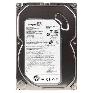 SEAGATE 7200 RPM 250GB 3,5'' HARDDİSK ST3250318AS