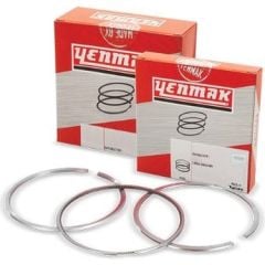 Motor Segman'ı STD (Adet) | Renault Laguna 2, Megane 2, Scenic 2 2.0 16V F4R