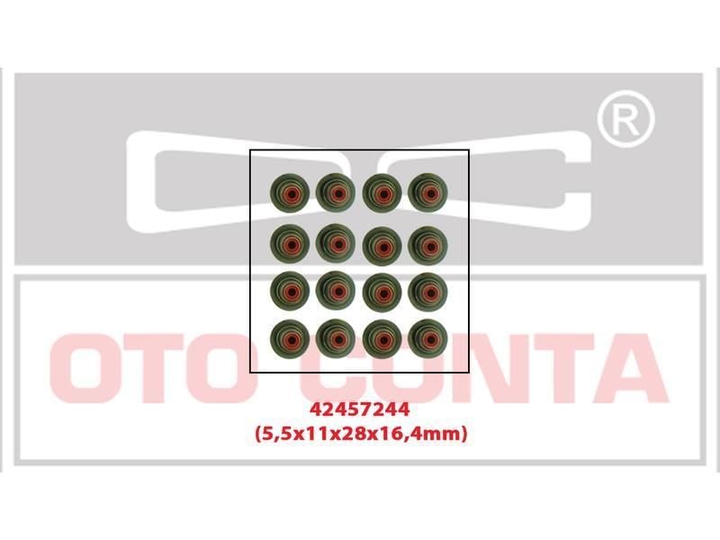 Subap Lastiği (Takım) | Renault Laguna 1, Laguna 2, Laguna 3 1.6 16V K4M - 2.0 16V F4R