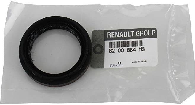 Aks Keçesi | Renault Modus