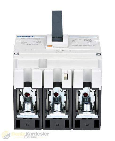 CHİNT NM8N-250S 3 Kutuplu 160A 50kA Termik Manyeti