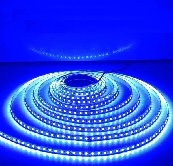 CATA 10 ÇİP ŞERİT LED DIŞ MEKAN (MAVİ)