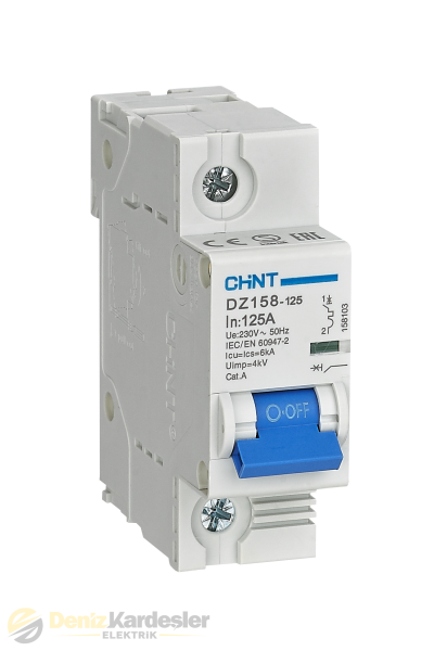 CHİNT DZ158 1 KUTUP 10KA C/100A OTOMATİK SİGORTA