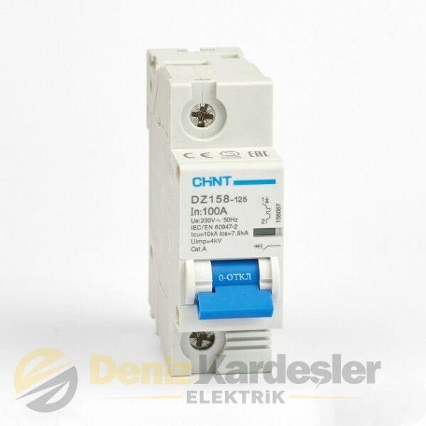 CHİNT DZ158 1 KUTUP 10KA C/100A OTOMATİK SİGORTA