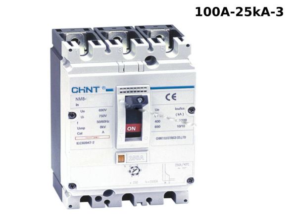 Chint Nm1-125S 3 Kutup 100A 25Ka