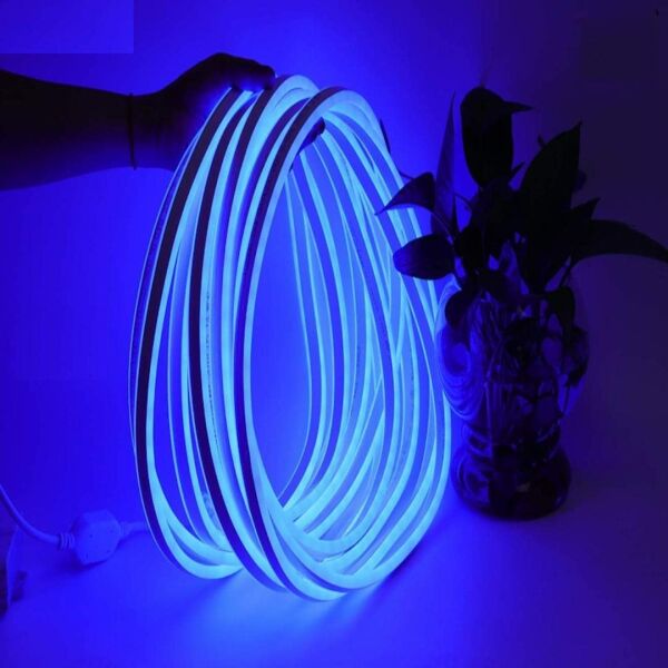MOLLED 5 MT 10W 12V MAVİ IŞIK NEON LED
