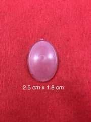 Plastik İç Aparat 2.5 cm*1.8 cm