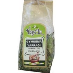 Ilayda Cinnema Otu