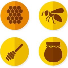 Balen 12 Adet Sıvı Propolis Ekstraktı 30 ml
