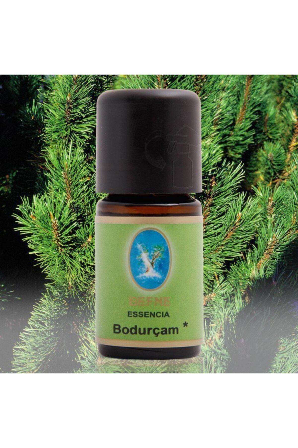 Nuka Defne Bodur Çam (organik) Uçucu Yağ 5 ml