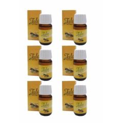 6 Kutu Tala Karınca Yumurtası Yağı 20 Ml x 6 Orijinal Ürün