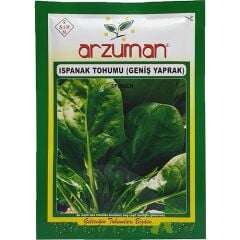 Arzuman Geniş Yapraklı Ispanak Tohumu 25 Gram