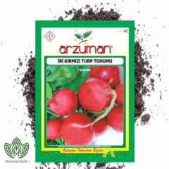 Arzuman Iri Kırmızı Turp Tohumu 25 g