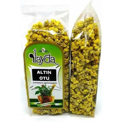 Ilayda Altın Otu