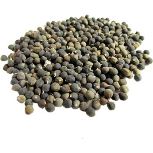 Ayvalık Baharat Bamya Tohumu 250 gr