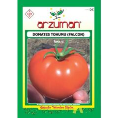 Arzuman Falcon domates Tohumu (5 gr)