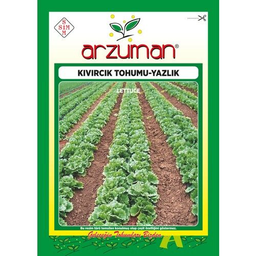 Arzuman Yazlık Kıvırcık Marul Tohumu 10 Gram