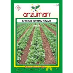 Arzuman Yazlık Kıvırcık Marul Tohumu 10 Gram