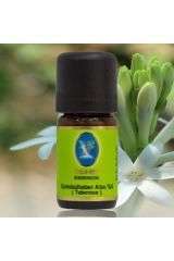Sümbülteber Abs. %5 (TUBEROSE) 5 ml