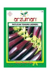 Kemer Patlıcan Tohumu