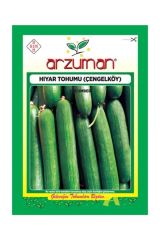 Çengelköy Hıyar Tohumu