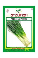 Yeşil Taze Soğan Tohumu