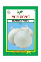 Beyaz Soğan Tohumu