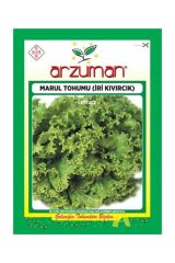 Iri Kıvırcık Marul Tohumu