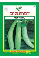 Arzuman Acur Tohumu