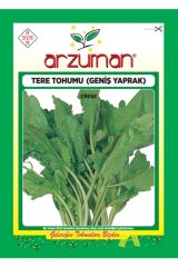 Arzuman Tere Tohumu
