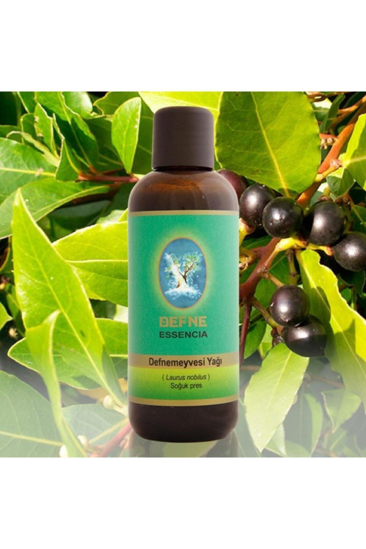 Defne Essencia Soğuk Pres Defne Meyvesi Yaği 100 ml