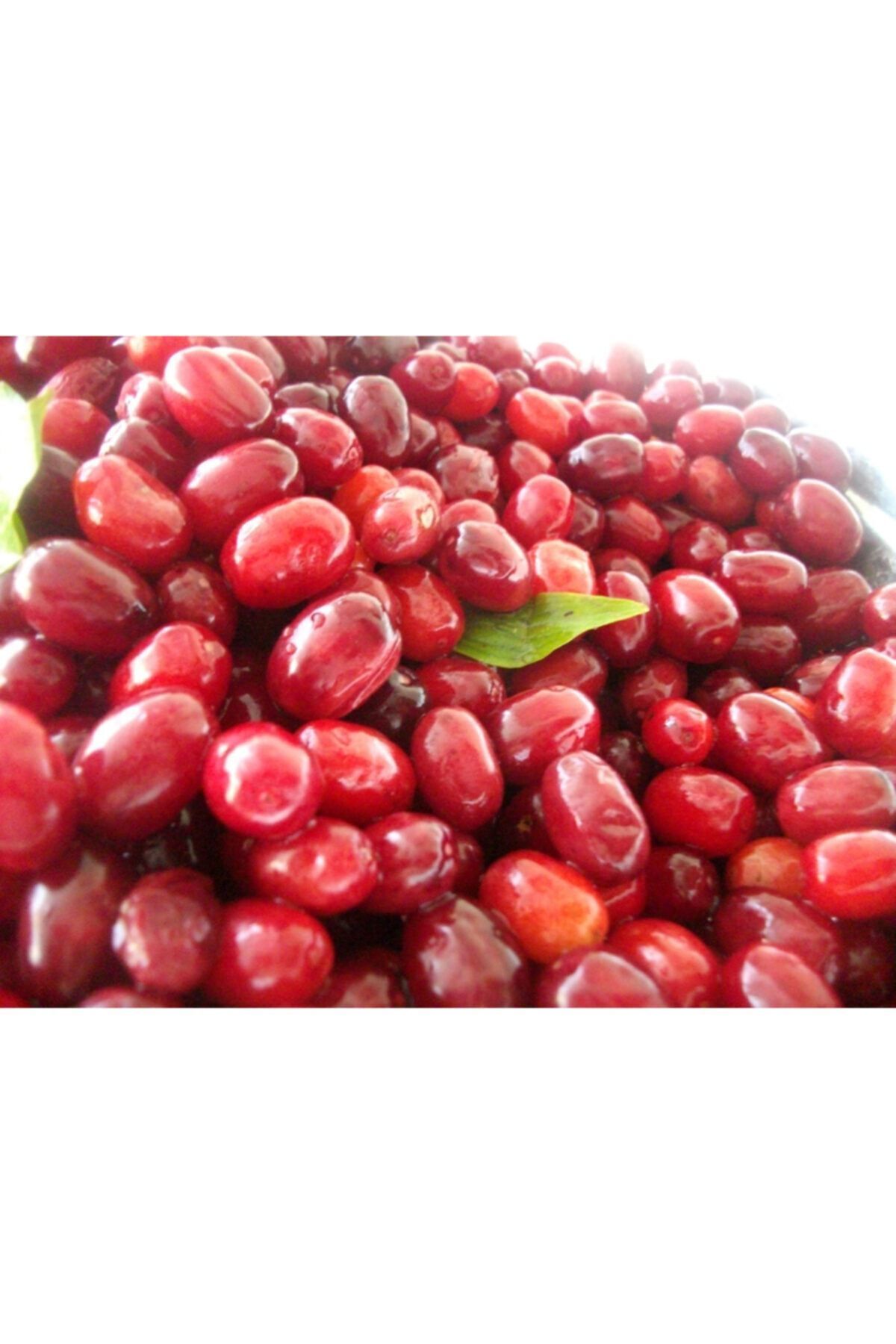Erzurum Ipek Gurme Doğal Kızılcık Kurusu Güneşte Kurutma (250 GR)