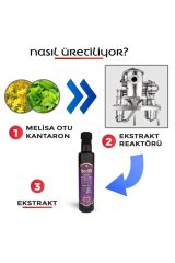 My Relax Melissa Kantaron Sıvı Ekstract Melisa Kantoron 250 ml My