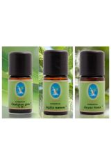Defne Organik Okaliptüs Ingiliz Nanesi Beyaz Kekik Yağı 10 Ml 3 'lü Paket Aromaterapi