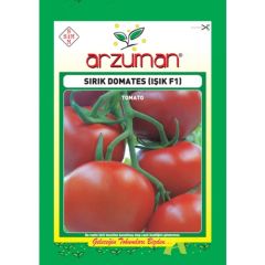 Arzuman Sırık domates (Işık F1 Hibrit) Tohumu (10 adet)